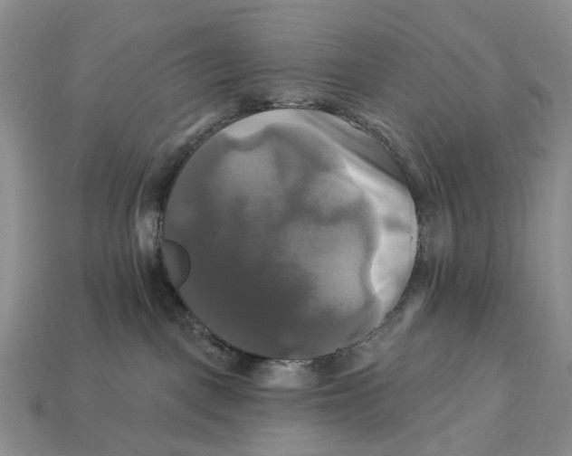 X0000113050093200909241504