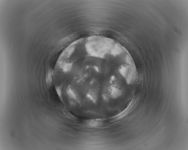 X0000113050094200909241504