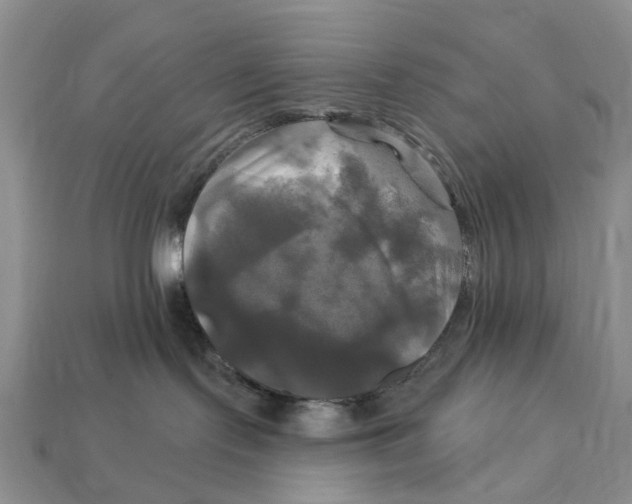 X0000113050095200909241504