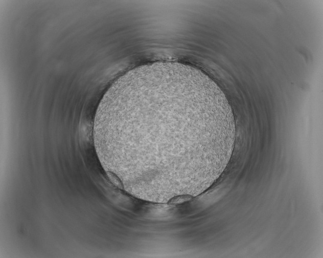 X0000113050096200909241504