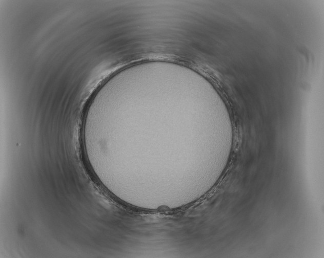 X0000113050098200909241503