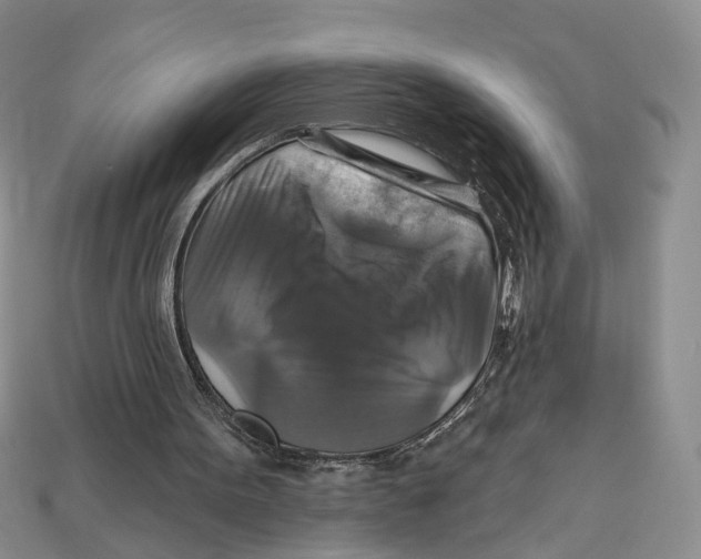 X0000113050099200909241503