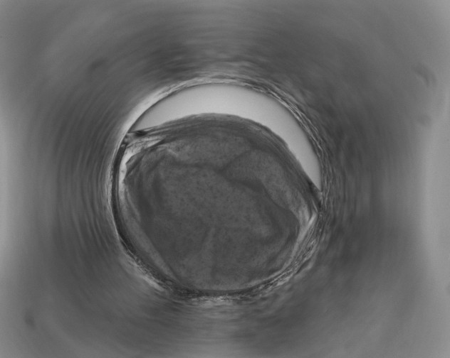 X0000113050100200909241503