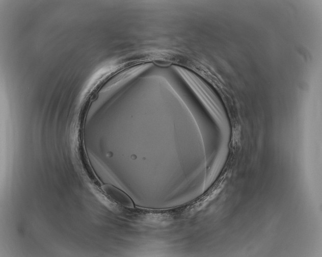 X0000113050101200909241503