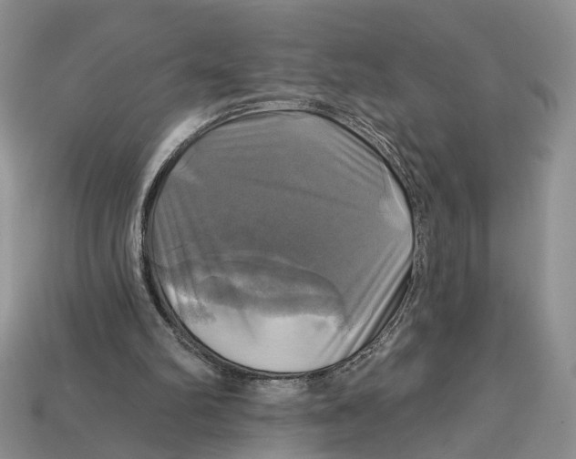 X0000113050102200909241503