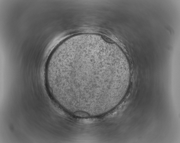 X0000113050103200909241503