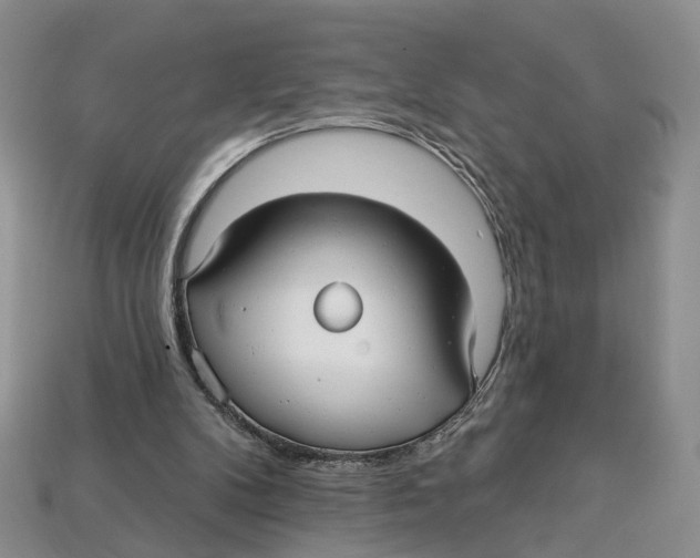 X0000113050104200909241503