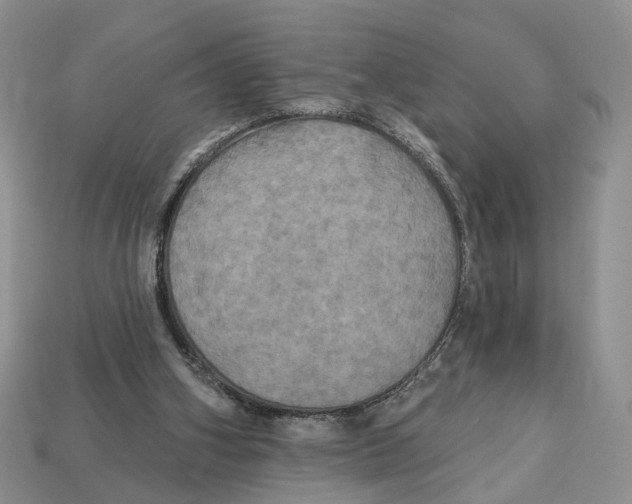 X0000113050106200909241503
