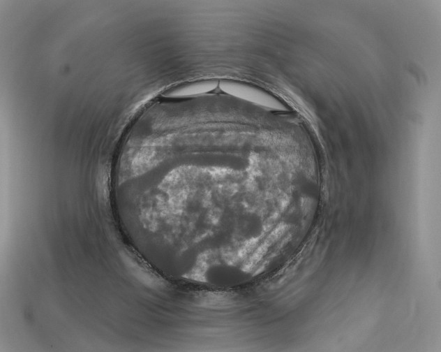 X0000113050107200909241503