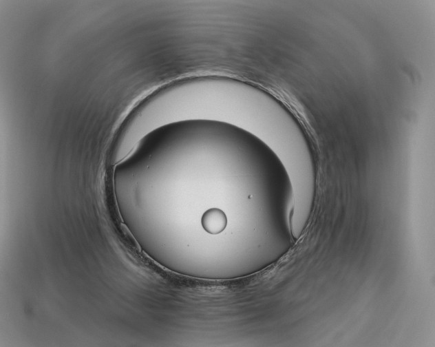 X0000113050108200909241503