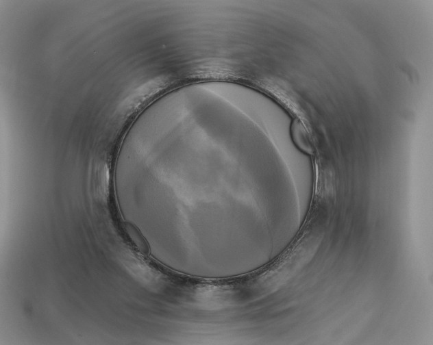 X0000113050109200909241503