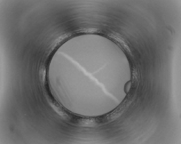 X0000113050110200909241503