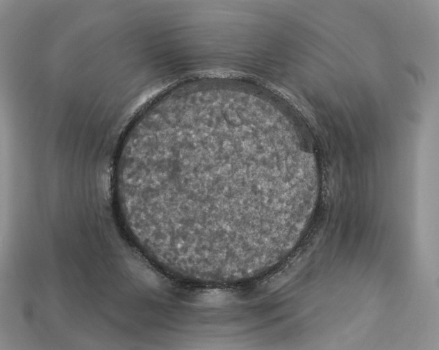 X0000113050111200909241503