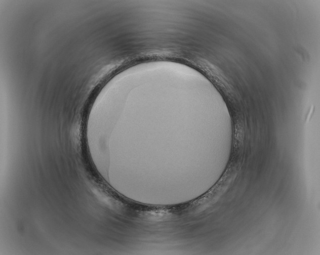 X0000113050112200909241503