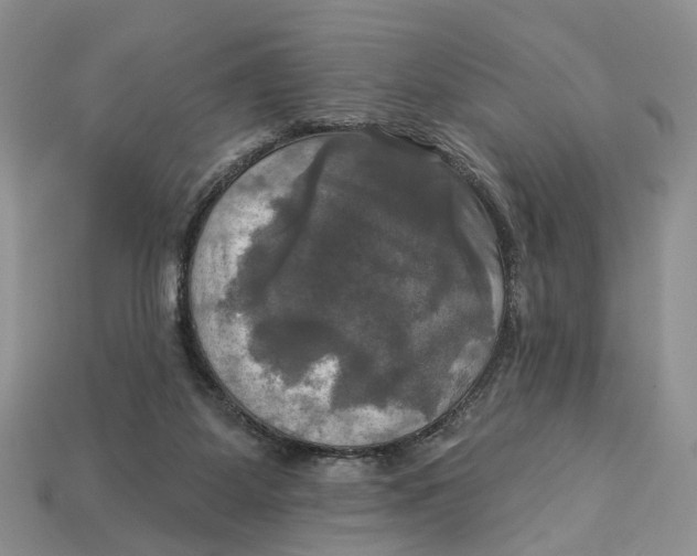 X0000113050115200909241503