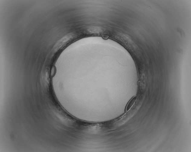 X0000113050116200909241503