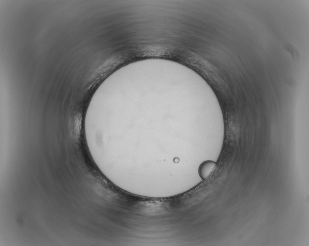 X0000113050118200909241503