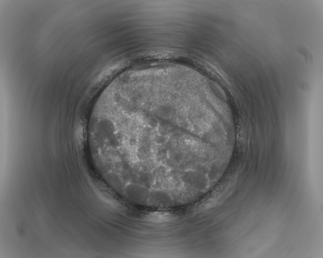 X0000113050119200909241503