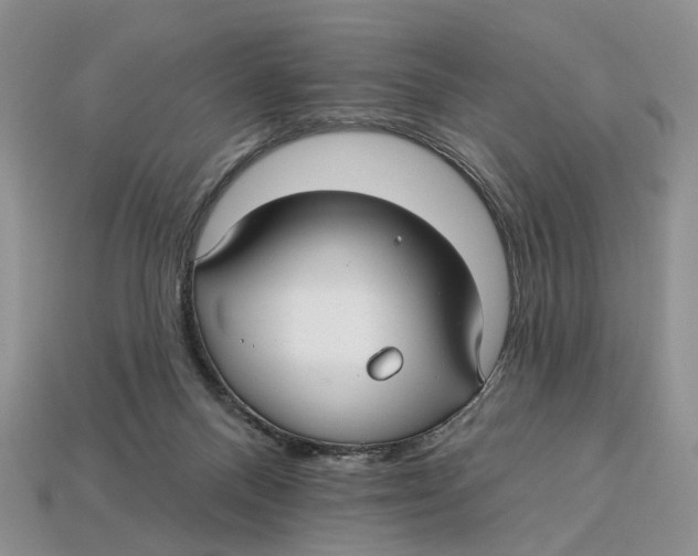 X0000113050120200909241503