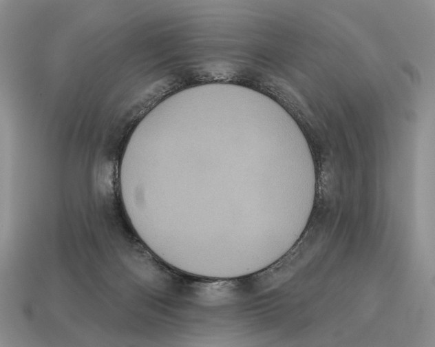 X0000113050122200909241503