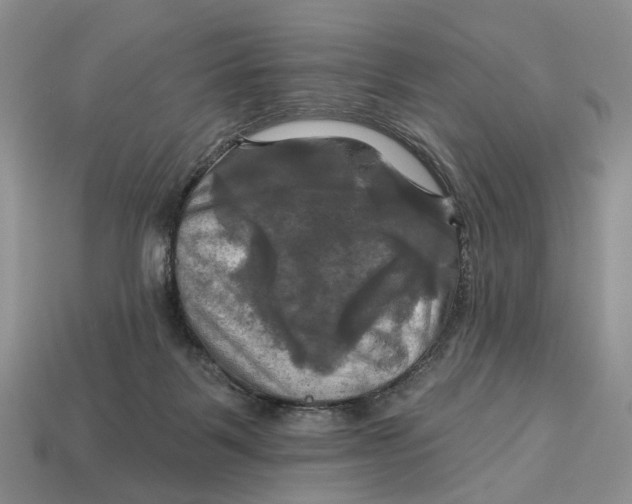 X0000113050123200909241503