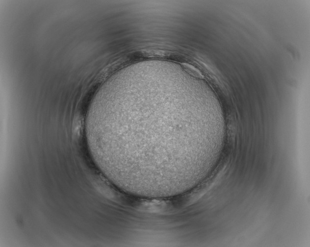X0000113050125200909241503