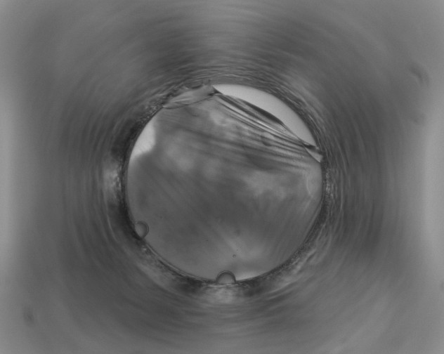 X0000113050127200909241503