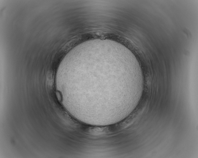 X0000113050129200909241503