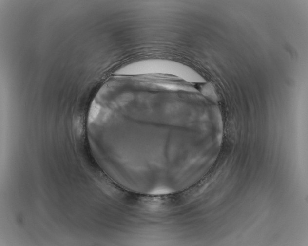 X0000113050131200909241503