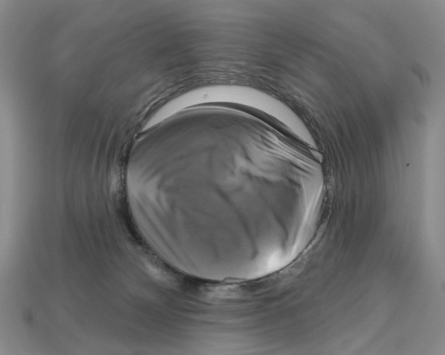 X0000113050132200909241503