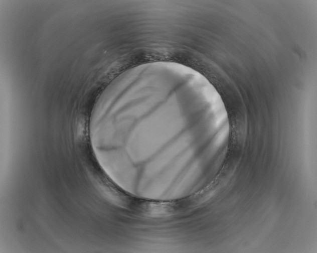 X0000113050134200909241503
