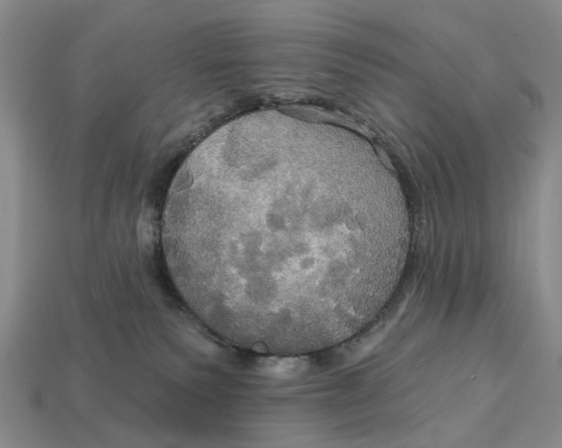 X0000113050135200909241503