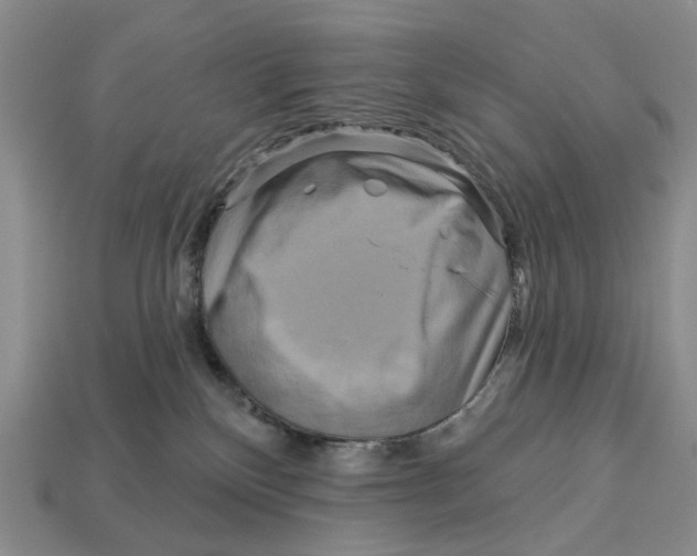 X0000113050136200909241503