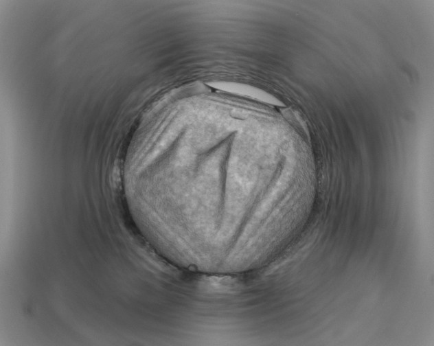 X0000113050137200909241503