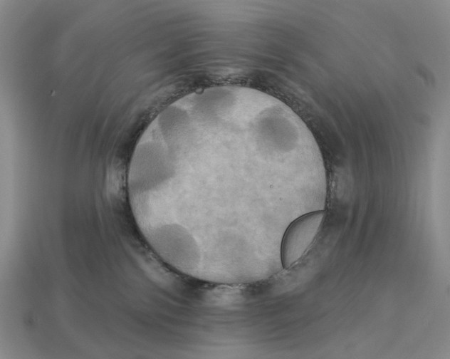 X0000113050138200909241503