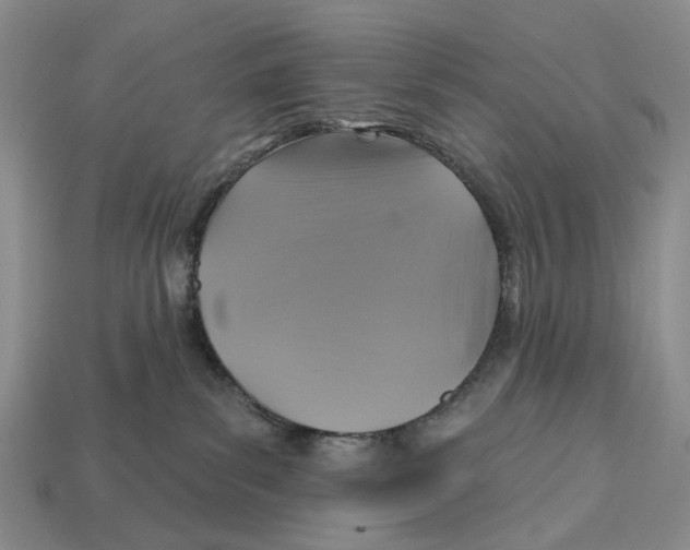 X0000113050139200909241503