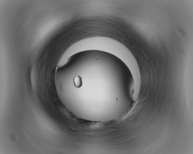 X0000113050140200909241503