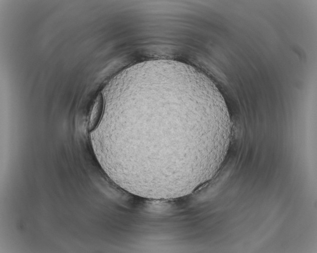X0000113050141200909241503