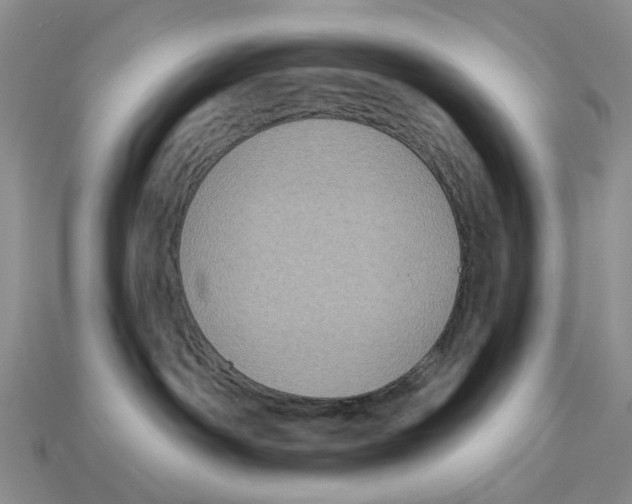 X0000113050142200909241503