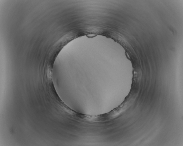 X0000113050143200909241503