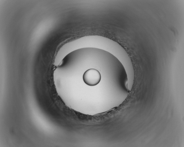 X0000113050144200909241503