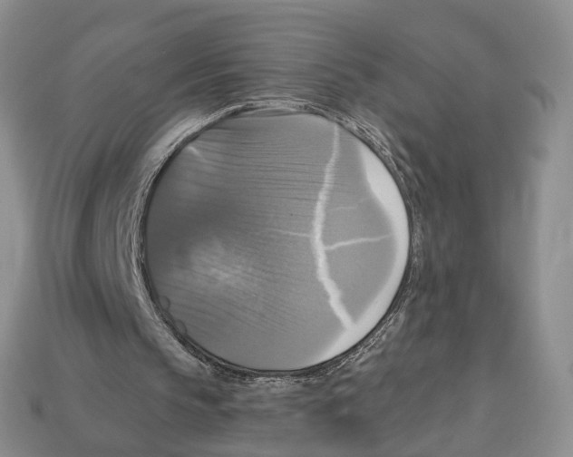 X0000113050145200909241502