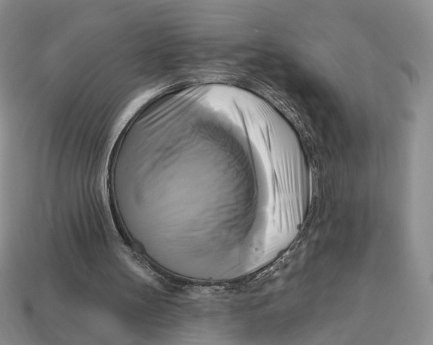 X0000113050147200909241502