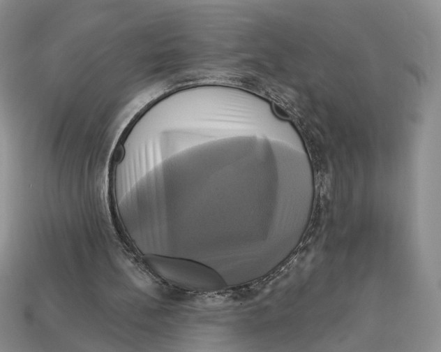 X0000113050148200909241502