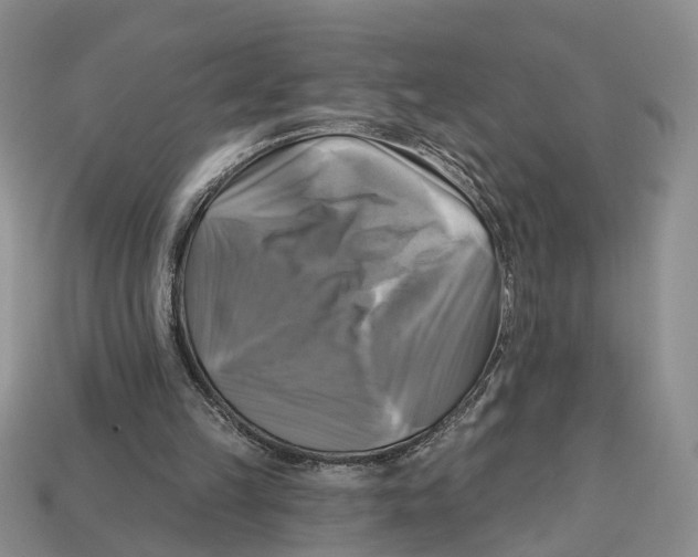 X0000113050149200909241502