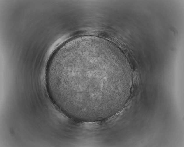 X0000113050150200909241502