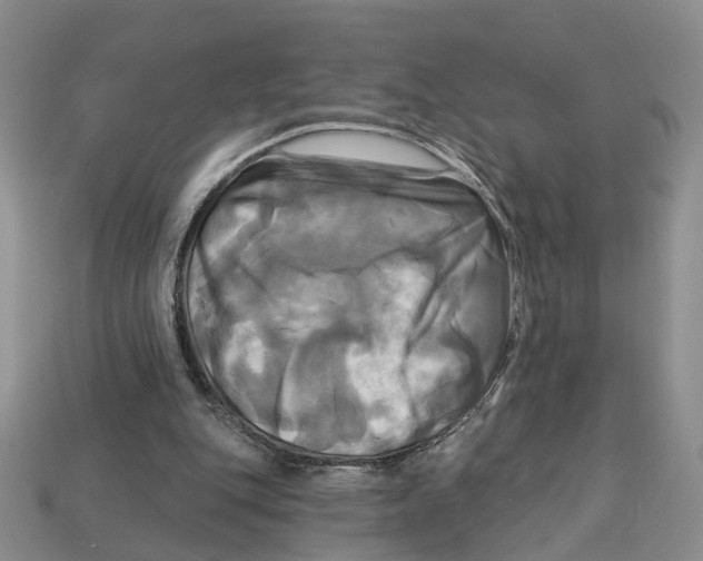 X0000113050151200909241502