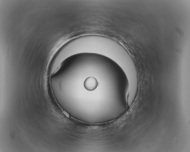 X0000113050152200909241502