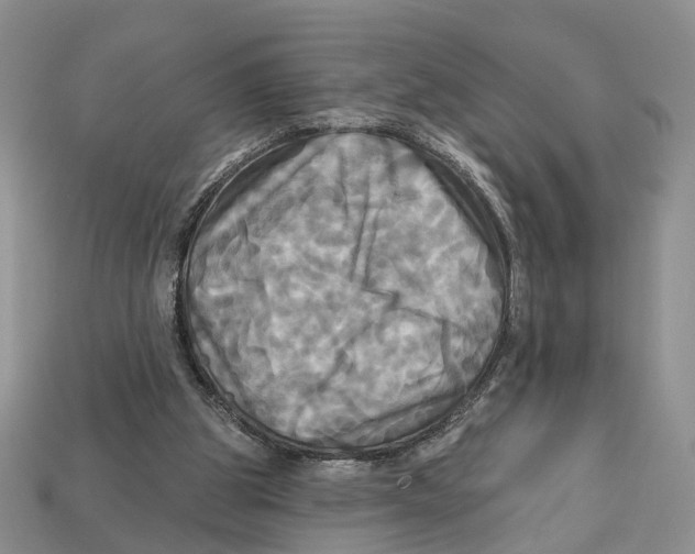 X0000113050153200909241502