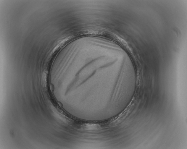 X0000113050154200909241502